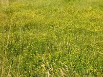 CIMG7230.webp