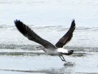 Copy of IMG_9731.webp