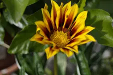 _DSC7072.webp