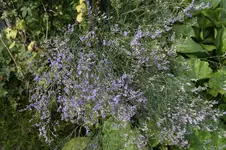_DSC7075.webp
