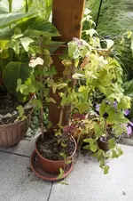 _DSC7077.webp