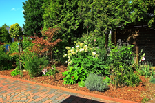 Beet_Einfahrt_links_640.webp