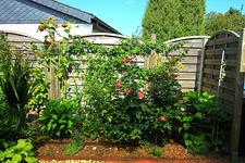 Beet_Einfahrt_rechts_640.webp