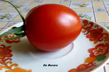 P1020700.webp