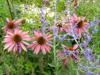DSCN9378.webp