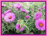 045.webp