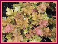 067.webp