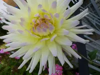 P1150820.webp