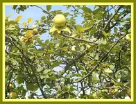 020.webp