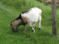 Bild 713.webp