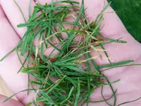 20140826_180620-800x600.webp