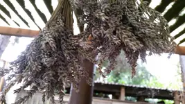 20140826_095746.webp