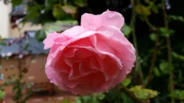 20140826_095936.webp