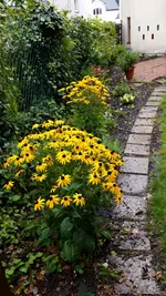 20140826_095942.webp