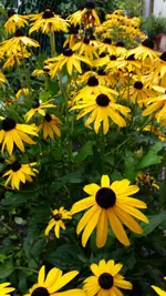 20140826_095948.webp