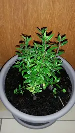 20140826_100126.webp