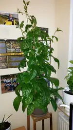 20140826_100453.webp