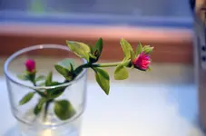 _DSC1155_2.webp