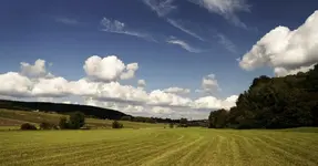 Wolken.webp
