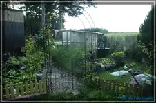 comp_DSC02201.webp