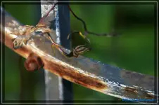 comp_DSC02206.webp