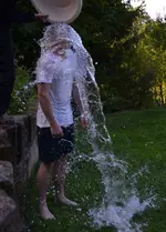 Ice.webp