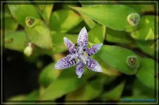 comp_DSC02204.webp