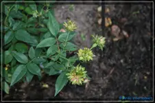 comp_DSC02202.webp