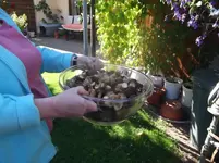 DSCF0429.webp