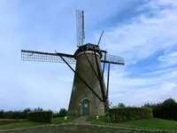 CIMG8650.webp