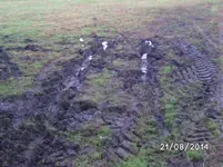 Wetter (2).webp