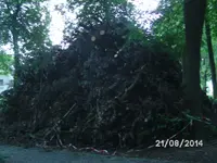Holz.webp