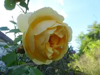 P1190287.webp