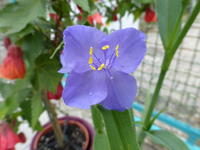 P1190154.webp
