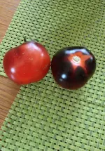 tomibluecherry.webp