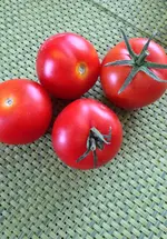 tomiadamovojobloka.webp