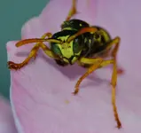 DSC_0016.webp