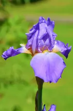 DSC_0026.webp