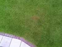 1409246723807.webp