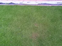 1409246853455.webp