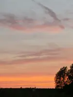 CIMG8663.webp