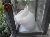 P1110319.webp
