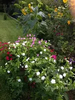 Foto 1.webp