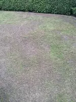 Foto 1.webp