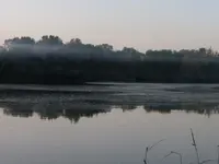 P1110368.webp