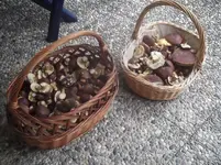 DSCF0433.webp