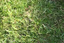 IMG_2870.webp