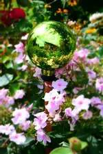 DSC_2364.webp