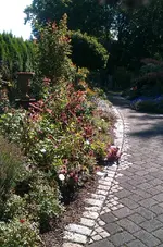 01_IMAG2321.webp