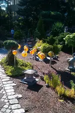 02_IMAG2322.webp